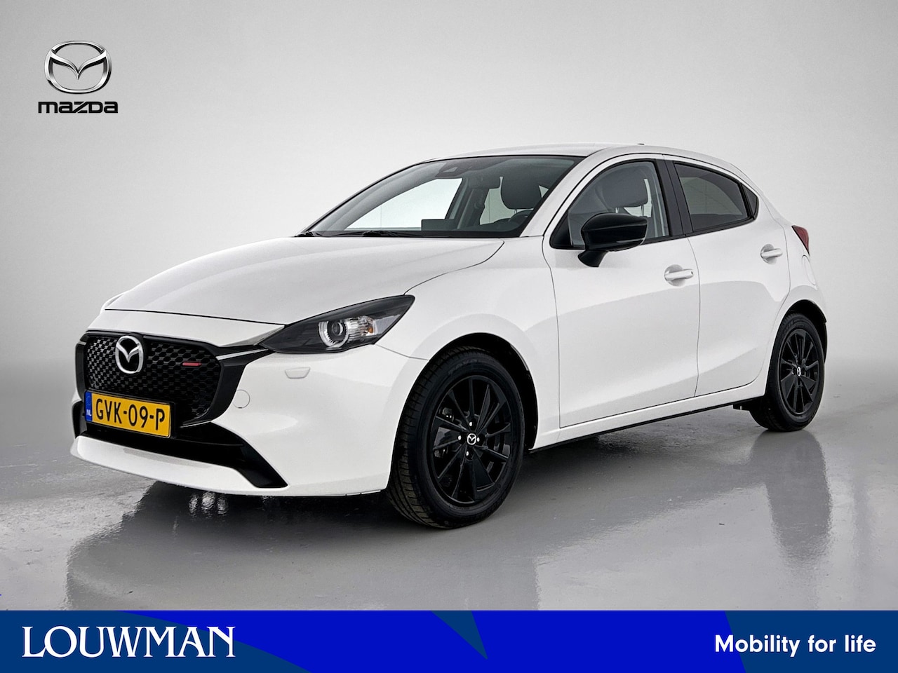 Mazda 2 - 1.5 SkyActiv-G 90 Homura Limited - AutoWereld.nl