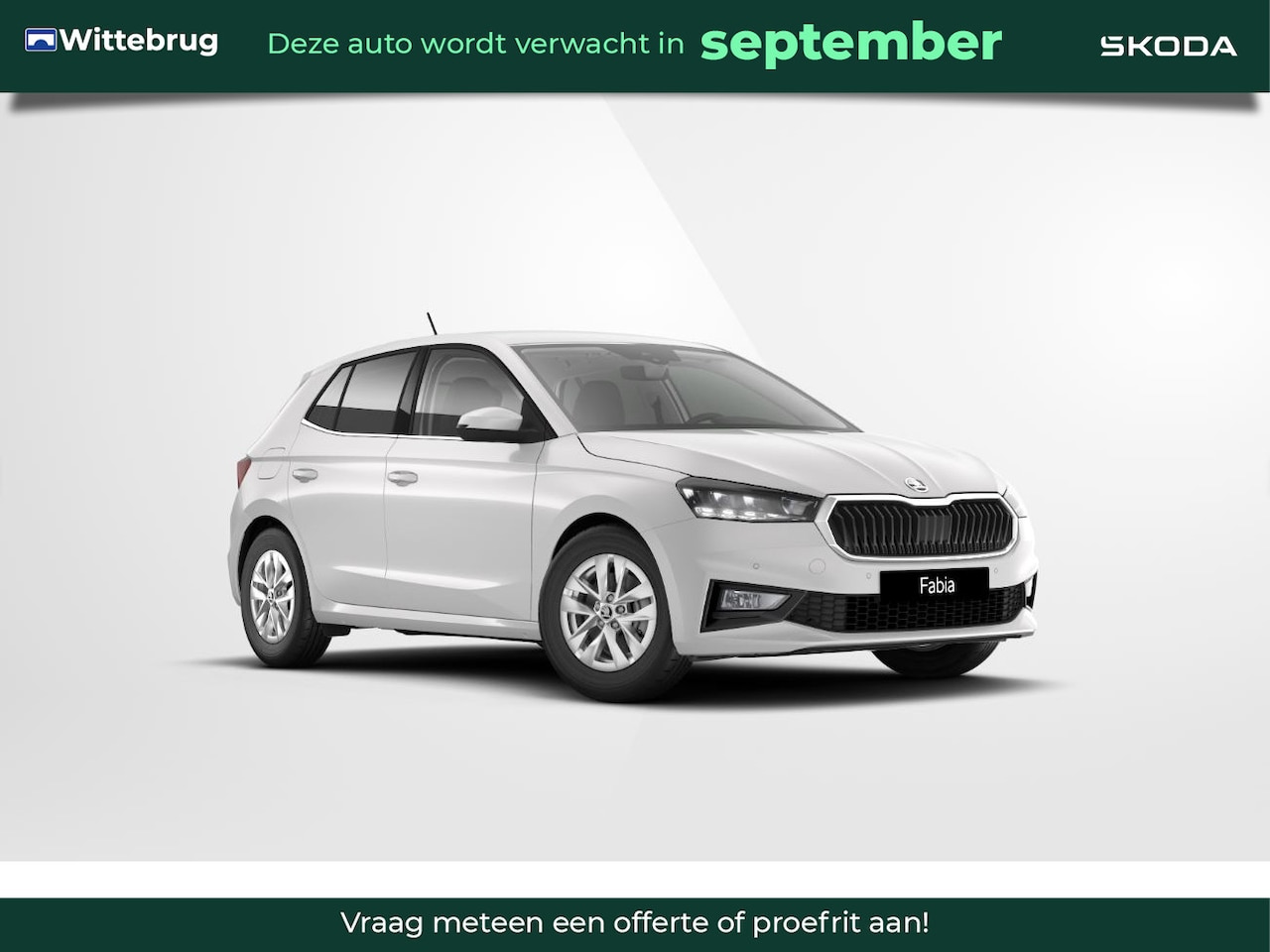 Skoda Fabia - 1.0 TSI Business Edition / Metallic lak - AutoWereld.nl