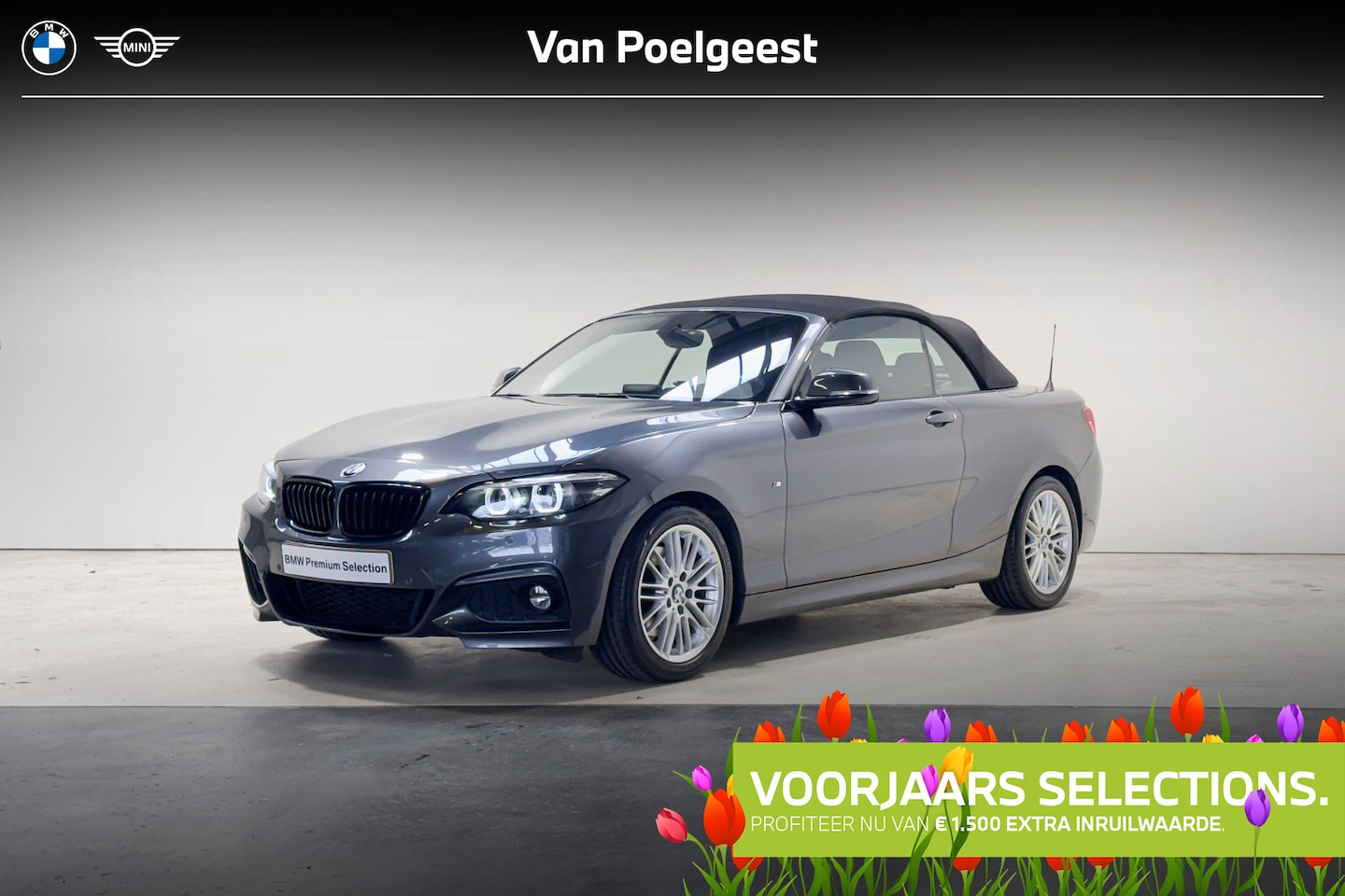 BMW 2-serie Cabrio - 220i M Sportpakket Model M Sport Aut. | Selections - AutoWereld.nl