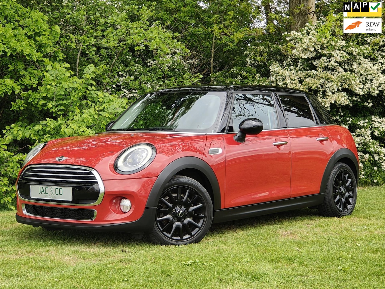 MINI Cooper - Mini 1.5 Chili Business Navi Black-Line - AutoWereld.nl