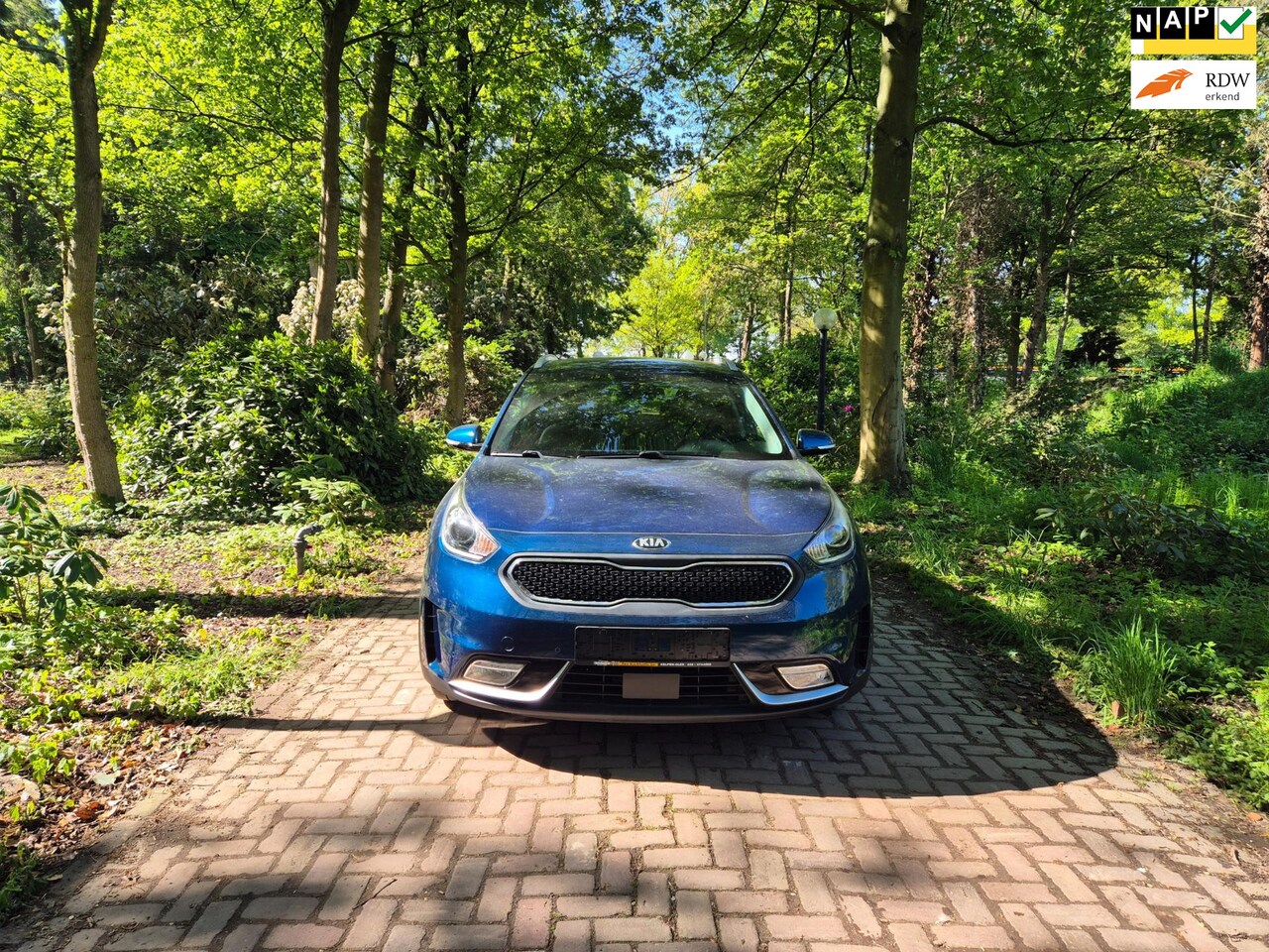 Kia Niro - 1.6 GDi Hybrid DynamicLine 1.6 GDi Hybrid DynamicLine - AutoWereld.nl