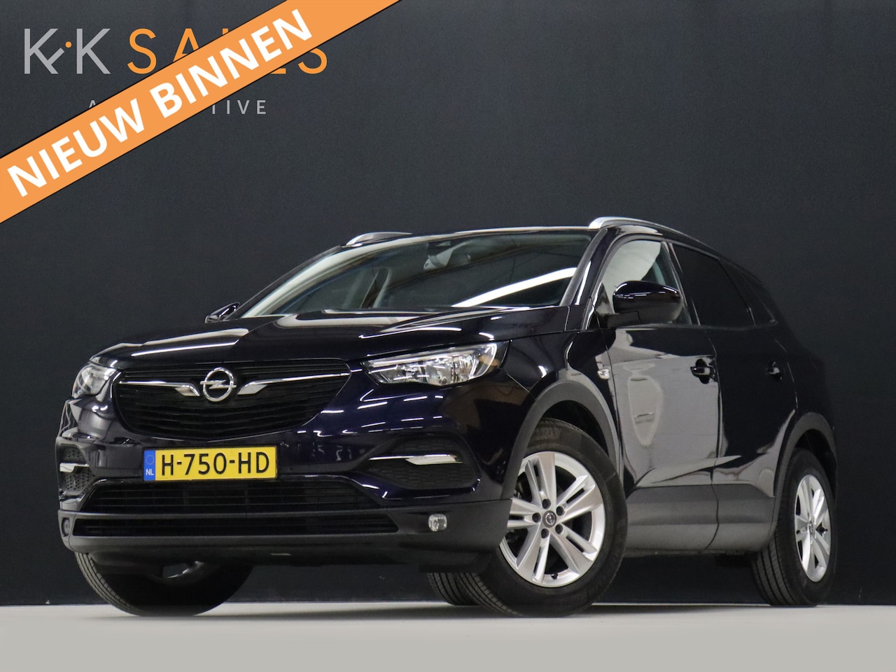 Opel Grandland X - 1.2 Turbo Business Executive [APPLE CARPLAY, ANDROID AUTO, PARKEERSENSOR V+A, STUUR VERWAR - AutoWereld.nl