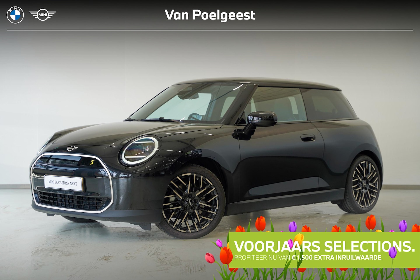 MINI Mini-Electric - Cooper 3-deurs SE Favoured Pakket M | Selections - AutoWereld.nl
