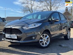 Ford Fiesta - 1.0 Titanium AIRCO 5DEURS STOELVERW. CAMERA NW.APK