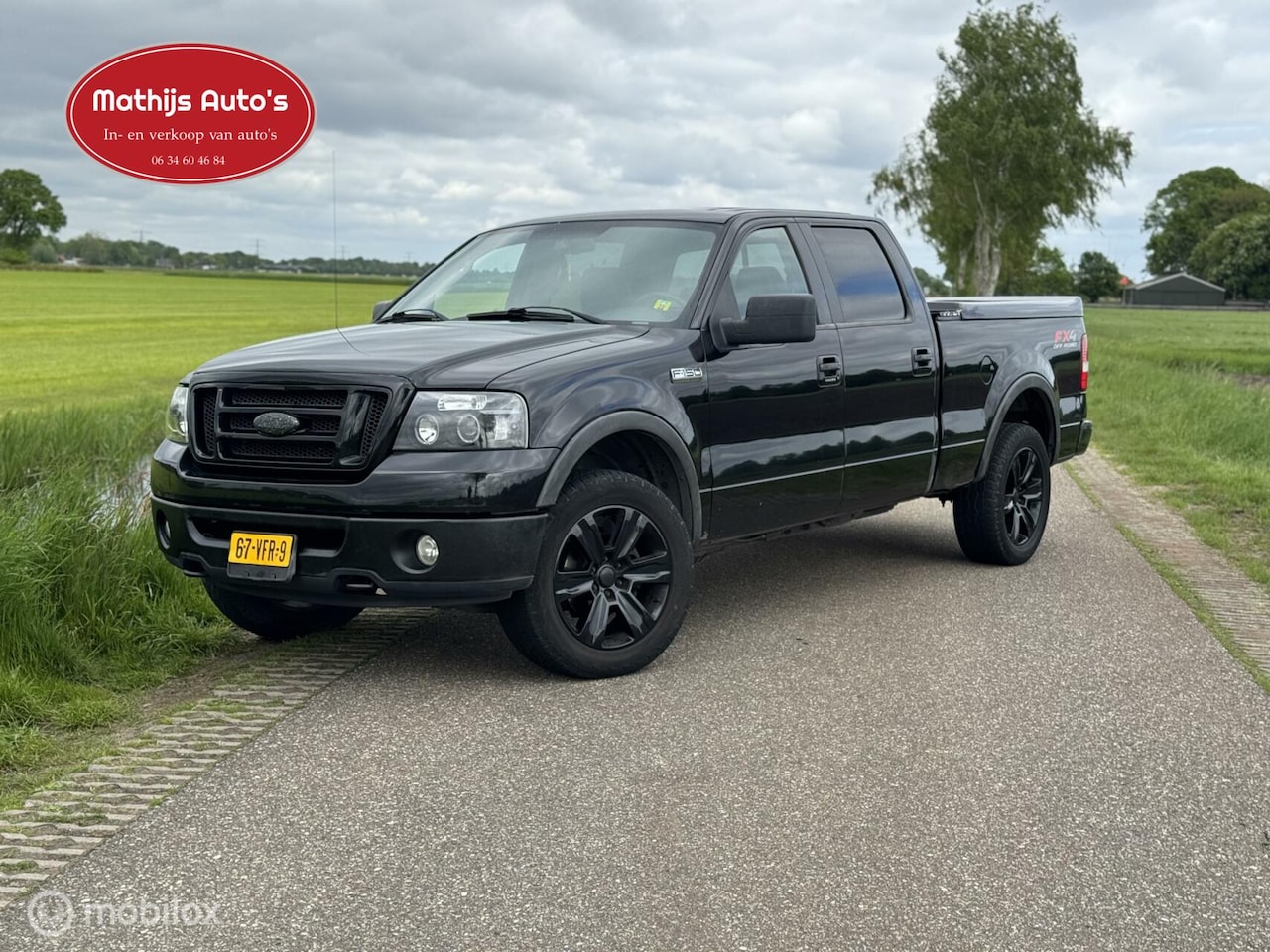 Ford F150 - Pickup Leder 4x4 LPG Youngtimer! - AutoWereld.nl