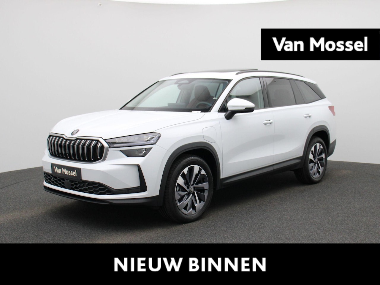 Skoda Kodiaq - 1.5 TSI PHEV Business Edition | Automaat | LED Koplampen | Navigatie | Panoramisch glazen - AutoWereld.nl