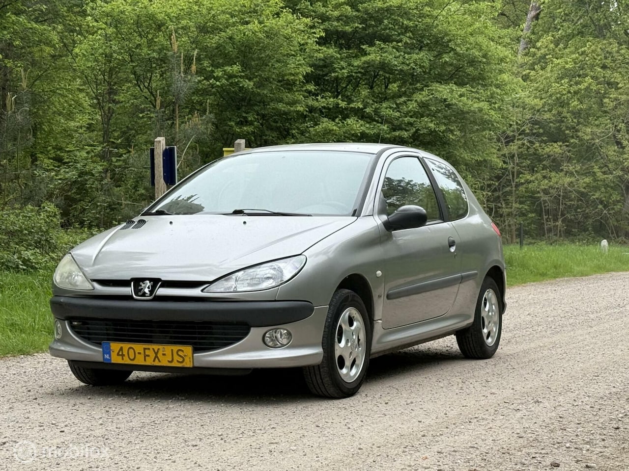 Peugeot 206 - 1.4 XS 1.4 XS - AutoWereld.nl