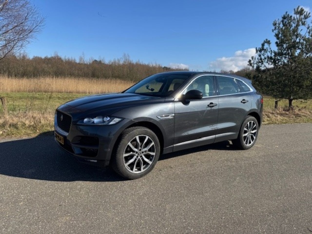 Jaguar F-Pace - portfolio 2.0 252 pk - AutoWereld.nl