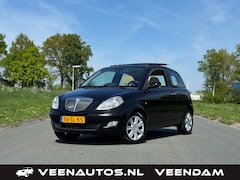 Lancia Y(psilon) - Ypsilon 1.2-16V Platino Panorama Dak
