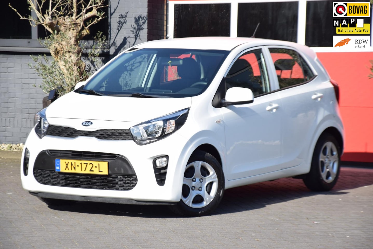 Kia Picanto - 1.0 CVVT ComfortLine 2019 Airco Stuurbediening 5 Deurs 15x op voorraad - AutoWereld.nl