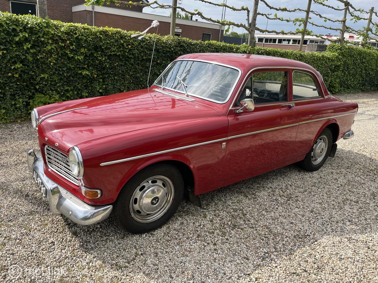 Volvo Amazon - Amazone 121 - AutoWereld.nl
