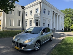Peugeot 307 - 1.6-16V AIRCO 5 DRS, VERRASSEND MOOI