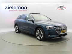 Audi e-tron - 50 Quattro Launch Plus 71 kWh - Panorama, Leer, SOH 88%