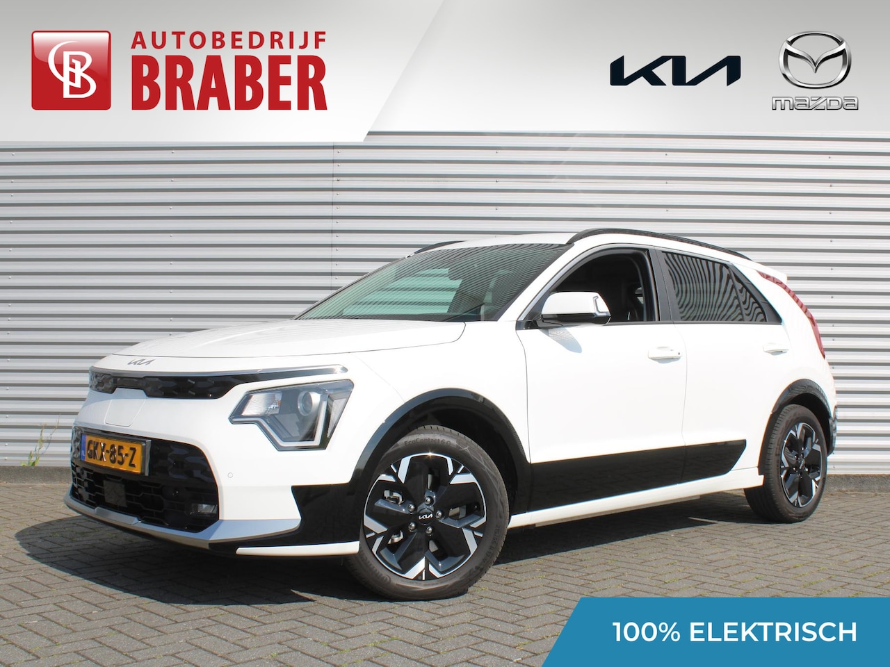 Kia Niro EV - Light Advanced 64.8 kWh | Cargo uitvoering | Stuur-/stoelverwarming | Camera | Cruise adap - AutoWereld.nl