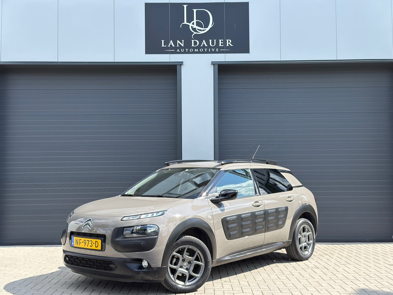 Citroën C4 Cactus - 1.2 PureTech Shine / 1e Eig / Camera / NAP - AutoWereld.nl
