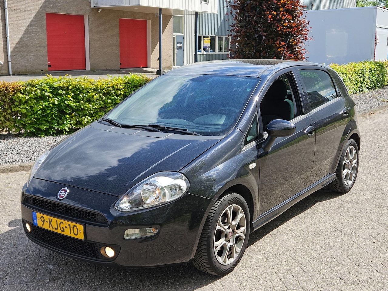 Fiat Punto Evo - 0.9 TwinAir Pop apk 16-02-2026 - AutoWereld.nl