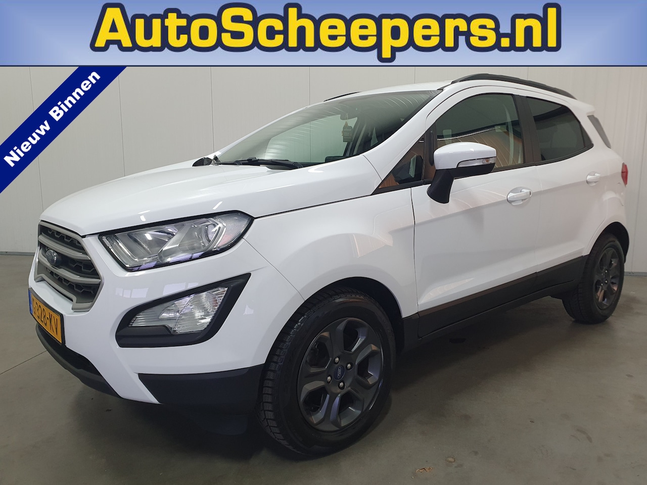 Ford EcoSport - 1.0 EcoBoost Trend Ultimate NAVI/CAMERA/CRUISE/AIRCO/LMV - AutoWereld.nl