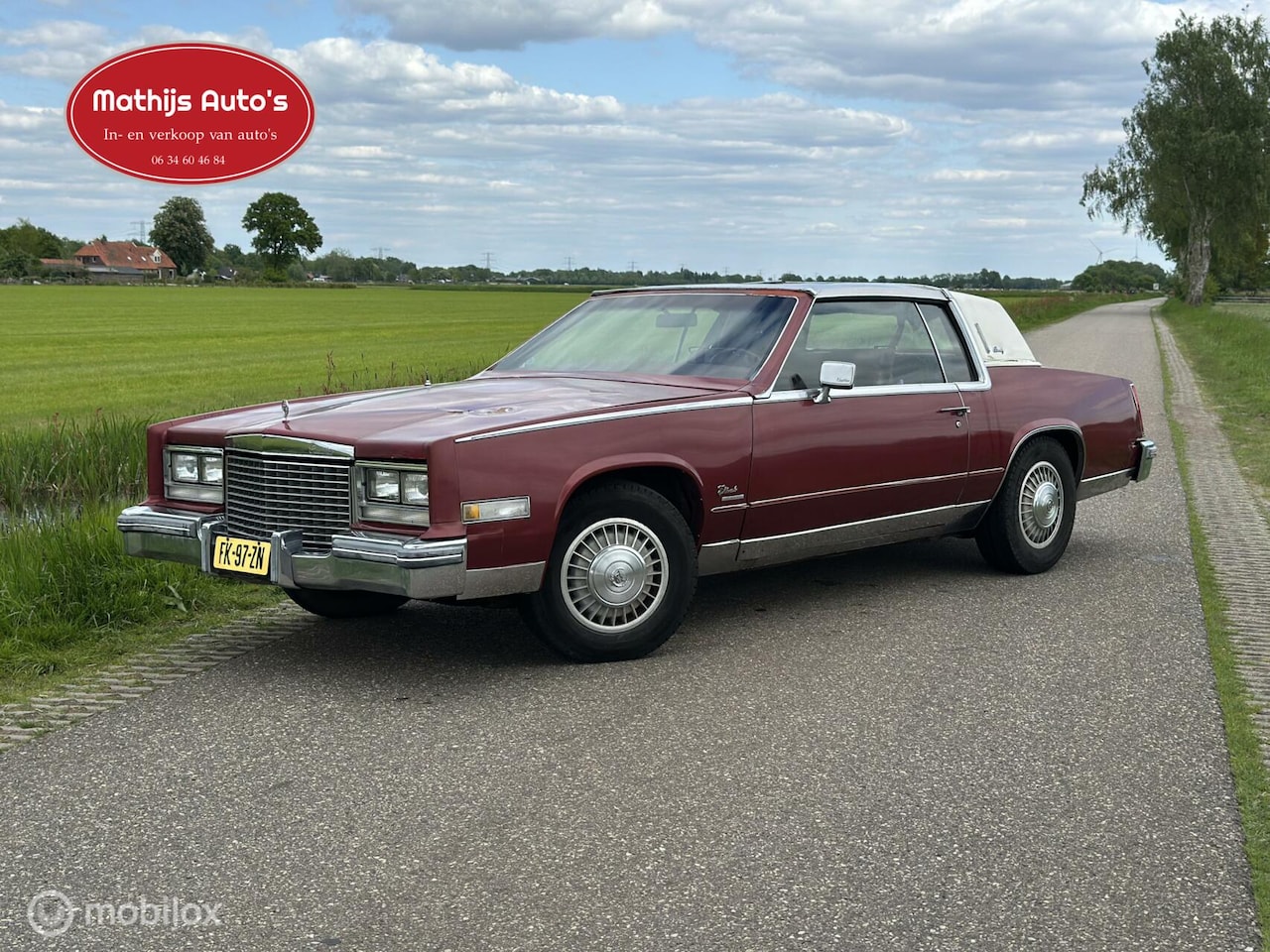 Cadillac Eldorado - 6 EL 57 350 ci. lees beschijving! - AutoWereld.nl