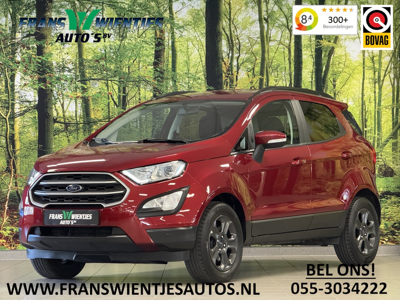 Ford EcoSport - 1.0 EcoBoost Titanium | Afneembare Trekhaak | Apple Carplay | Android Auto | Stuurwielverw - AutoWereld.nl