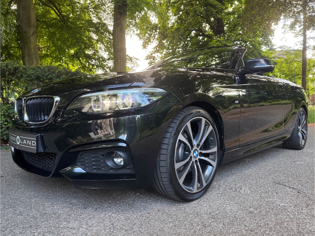 BMW 2-serie Cabrio - 230i M-pakket, H/K - AutoWereld.nl