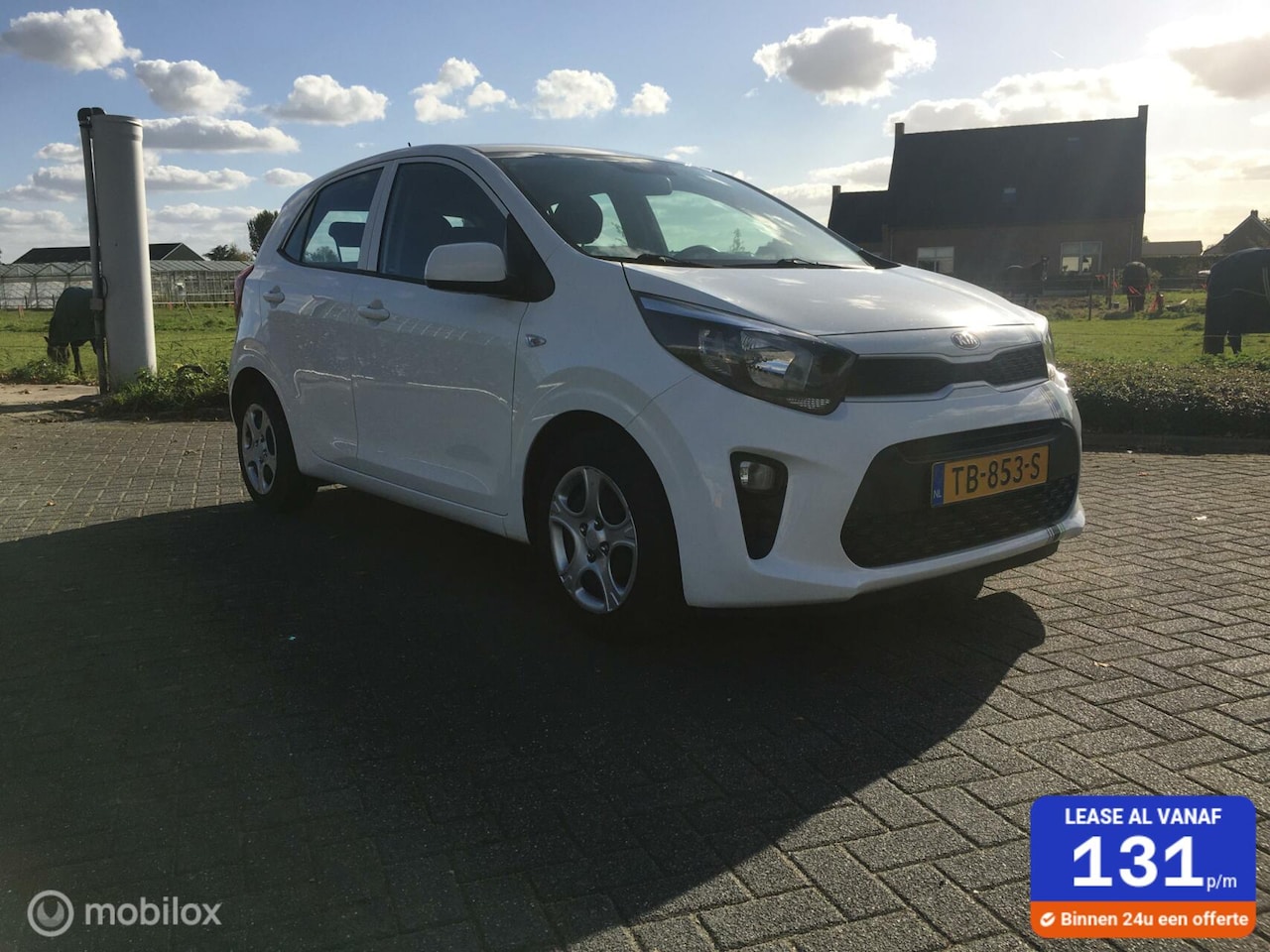 Kia Picanto - 1.0 CVVT ExecutiveLine 5drs AIRCO Stuurwielbed. Bleuth.USB Etc 1e Eigenaar - AutoWereld.nl