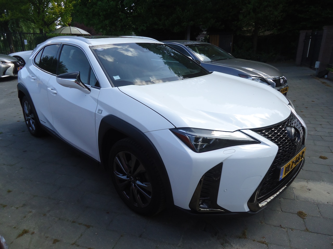 Lexus UX - 250h AWD F Sport Premium in absolutie nieuwstaat, bomvol met alle denkbare opties - AutoWereld.nl