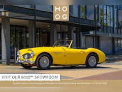 Austin 100-6 - HEALEY 100/6