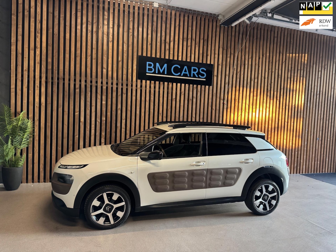 Citroën C4 Cactus - 1.2 PureTech Shine Airco, Parelmoer, Nap auto - AutoWereld.nl