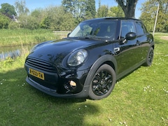 MINI One - 1.5 Chili mooi en goed
