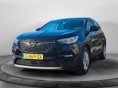 Opel Grandland X - 1.2 Turbo Business Executive (131 PK) 1e-Eig. Keurig-Onderh, BOVAG-Garantie, NL-Auto, Half