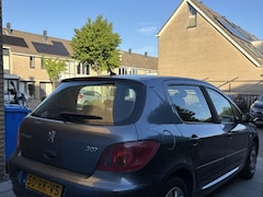 Peugeot 307 - 1.6 benzine 2005 NAP 5Drs Airco Cruise