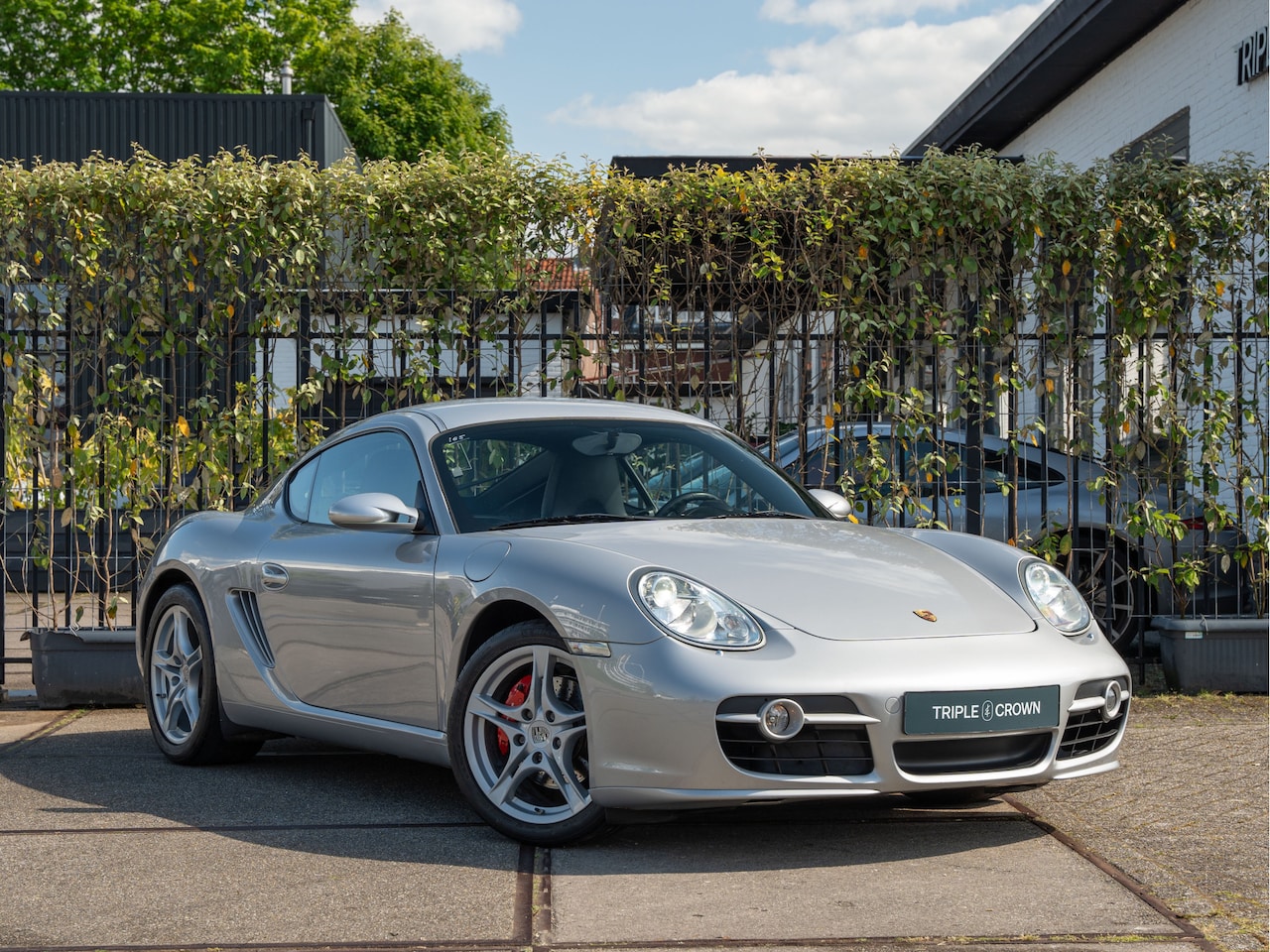 Porsche Cayman S - 3.4 3.4 - AutoWereld.nl