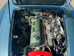 Austin Healey - 11-6
