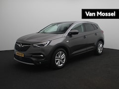 Opel Grandland X - 1.2 Turbo Business Executive | Navigatie | Leder| Stoelverwarming/Verkoeling