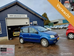 Fiat Panda - 1.1 Active Alle inruil mogelijk
