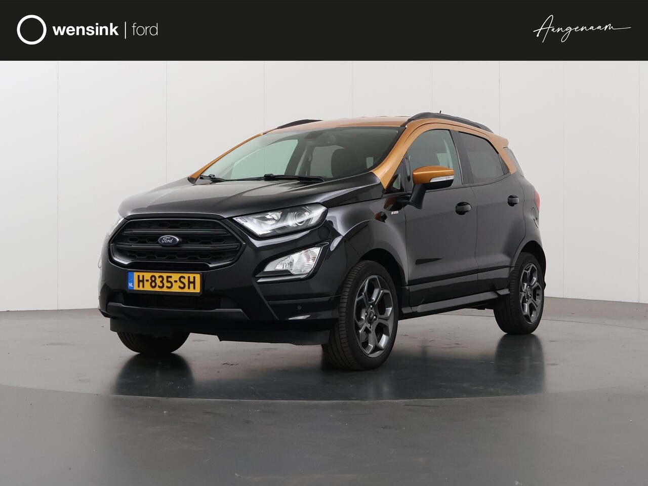 Ford EcoSport - 1.0 EcoBoost ST-Line Black | Navigatie | Winterpakket | Xenon | Climate Control | - AutoWereld.nl