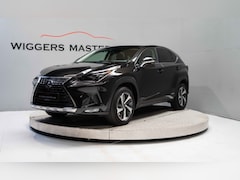 Lexus NX - 300h 300 H 197 PK President, Panodak, Mark Levinson, Dealeronderh, 10