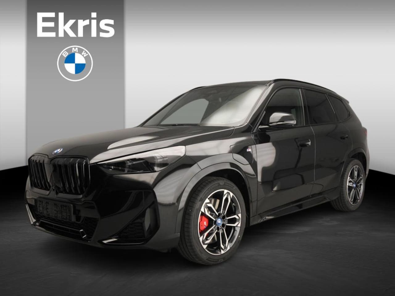 BMW X1 - xDrive25e M-Sportpakket / Comfortpack / Travelpack / Equipment package Professional - AutoWereld.nl