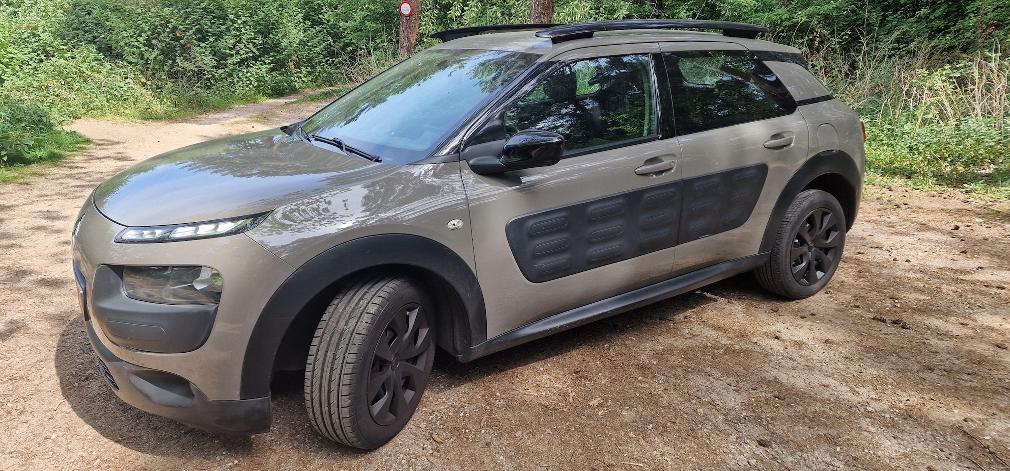 Citroën C4 Cactus - 1.2 e-VTi Feel - AutoWereld.nl