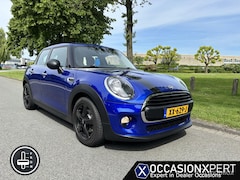 MINI One - 1.5 Pepper
