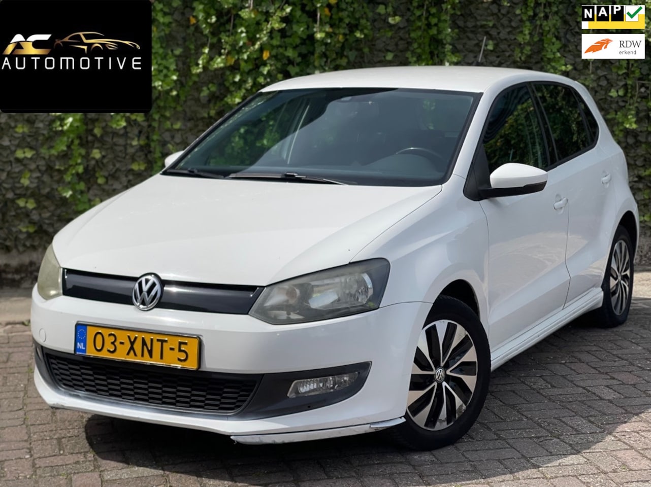 Volkswagen Polo - 1.2 TDI BlueMotion Comfortline 1.2 TDI BlueMotion Comfortline - AutoWereld.nl