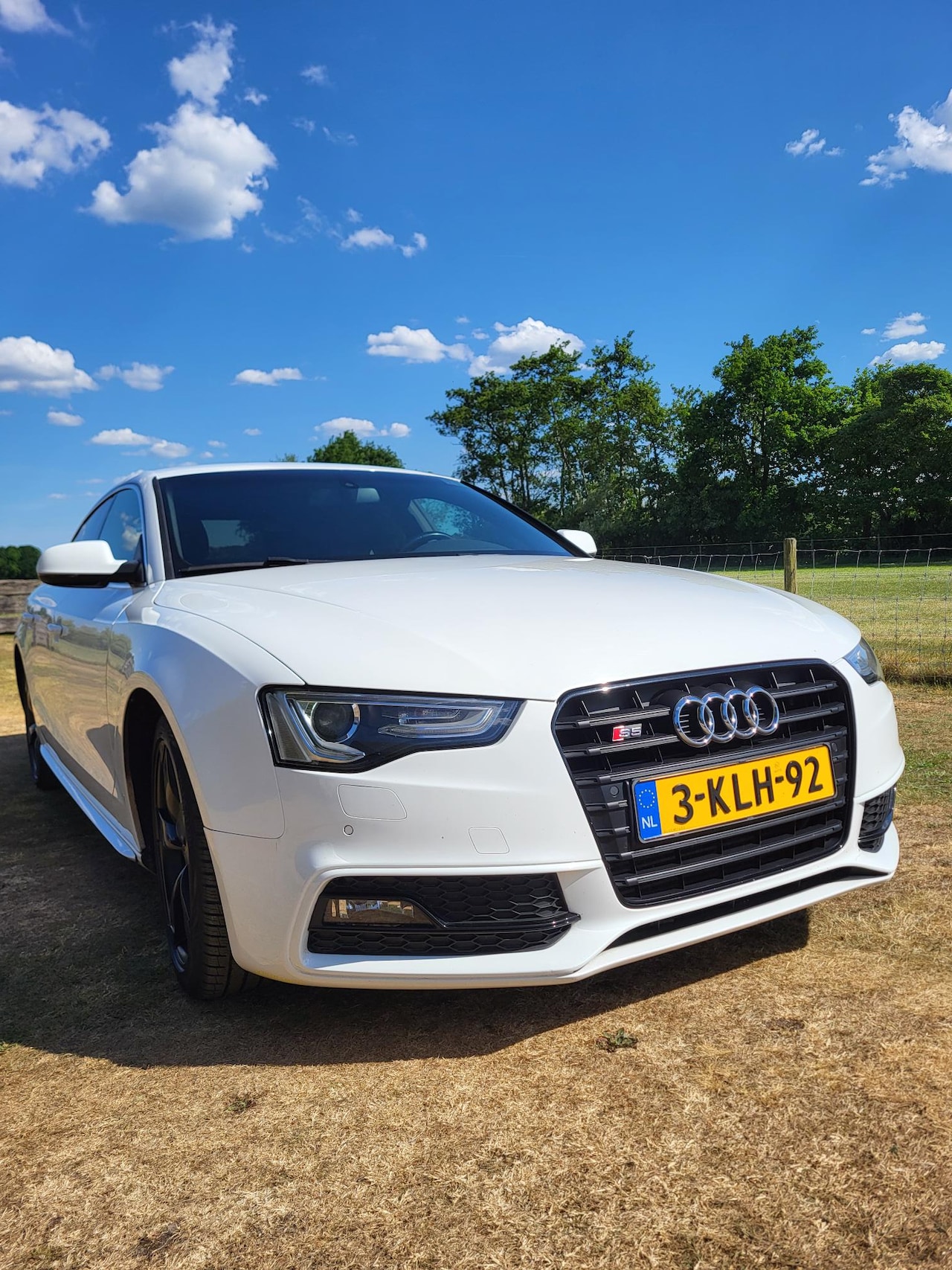 Audi A5 Sportback - 2.0 TDI Pro Line - AutoWereld.nl