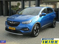 Opel Grandland X - 1.2 Turbo Business Executive | AGR-stoelen, Elektrische klep, Trekhaak