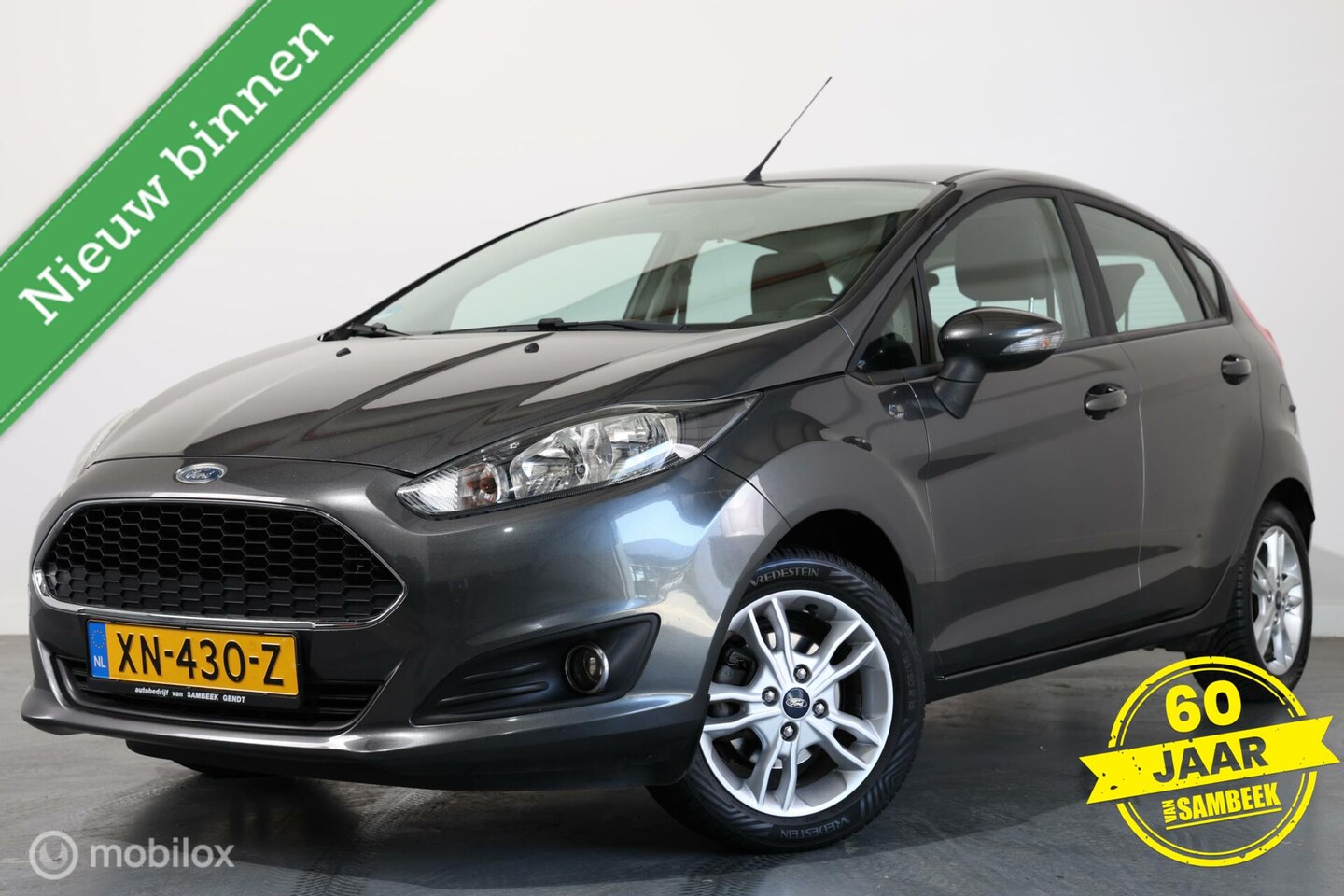 Ford Fiesta - 1.25 - AIRCO-TREKHAAK - AutoWereld.nl
