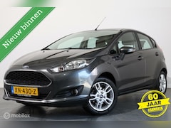 Ford Fiesta - 1.25 - AIRCO-TREKHAAK