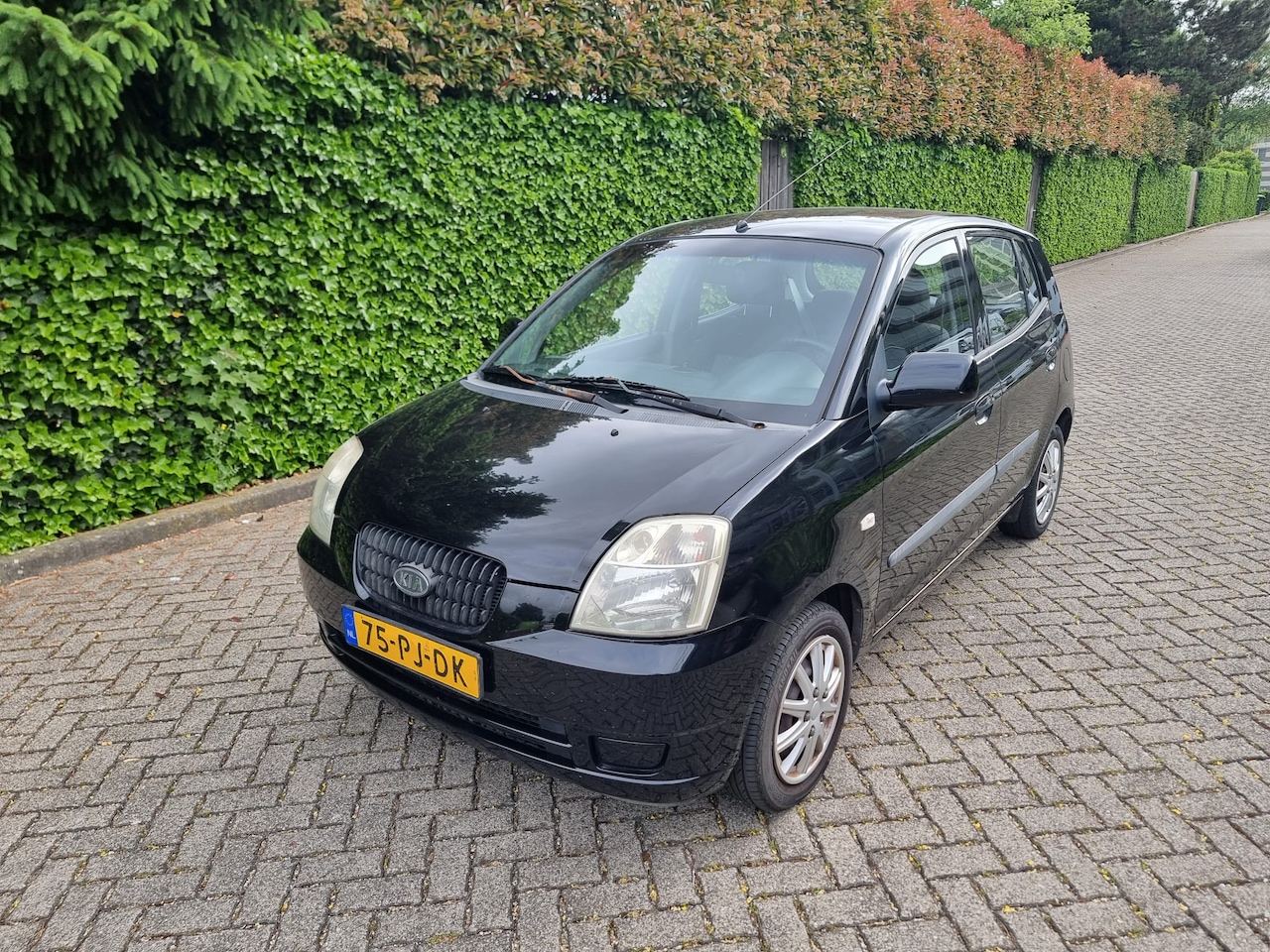Kia Picanto - 1.0 LX