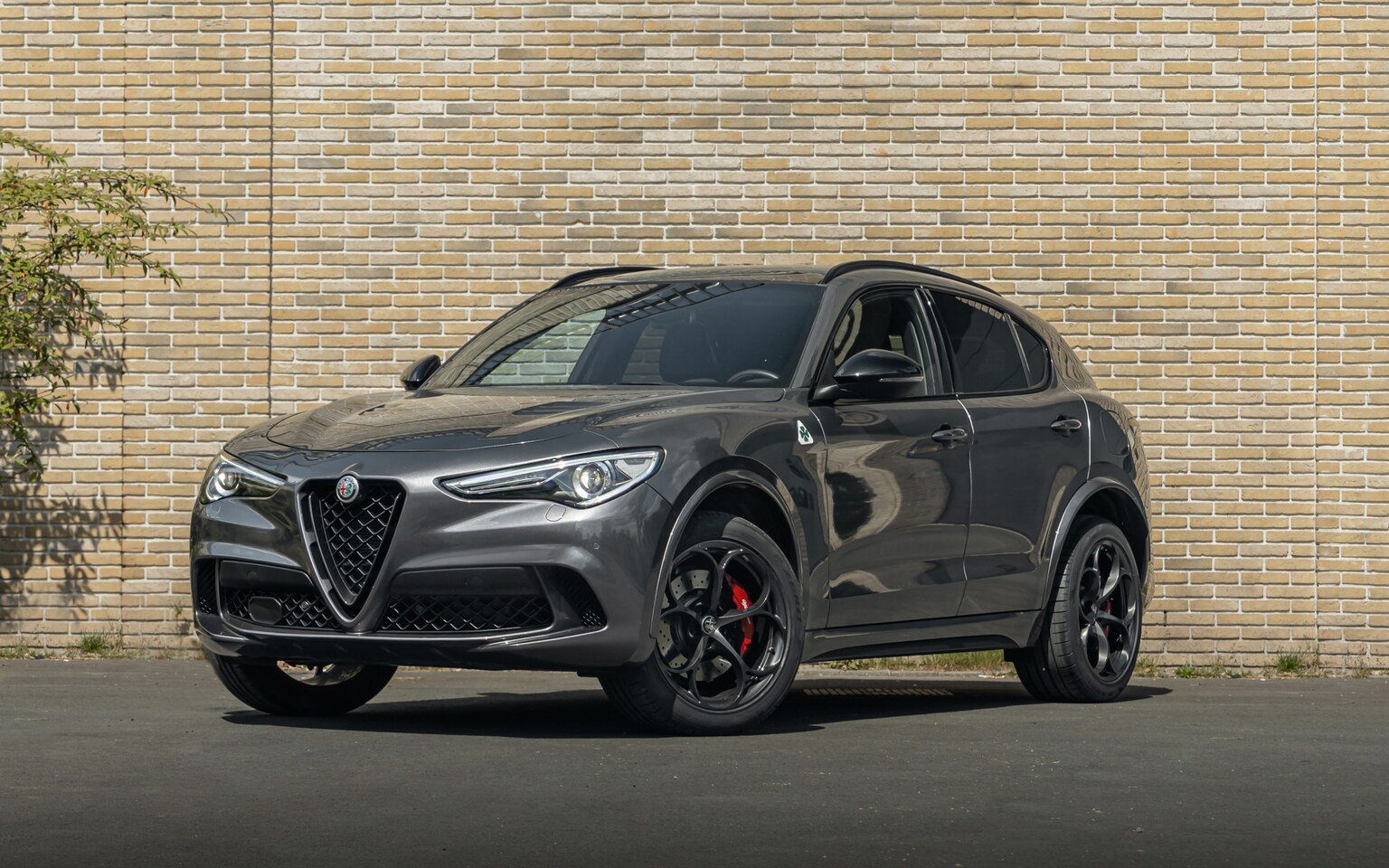 Alfa Romeo Stelvio - Quadrifoglio 2.9 V6 510PK AWD | Harman Kardon | Adaptieve Cruise Control | Schuif/Kantelda - AutoWereld.nl