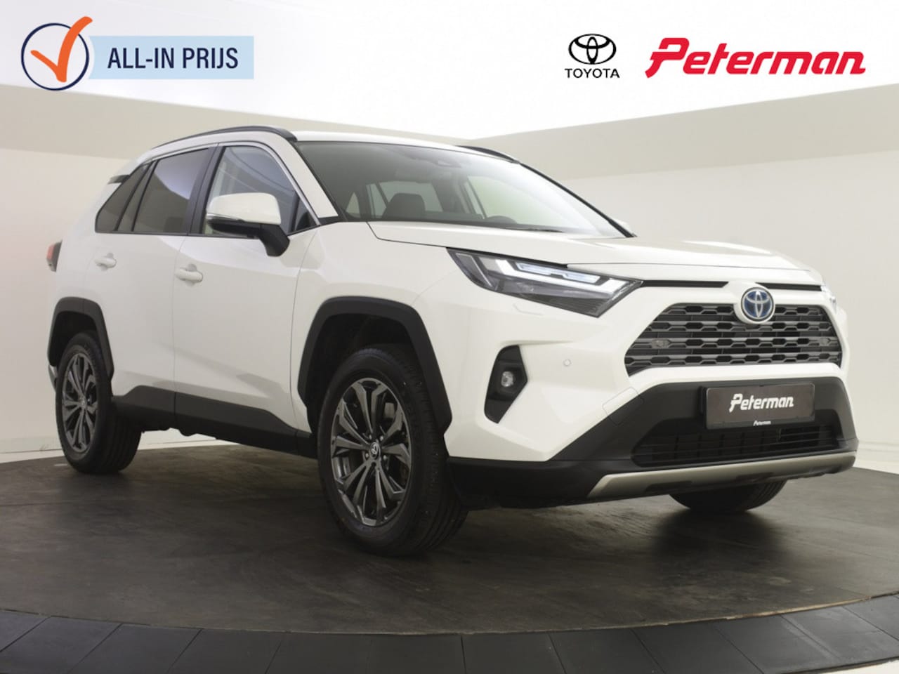 Toyota RAV4 - 2.5 Hybrid AWD Executive | Trekhaak | JBL | BLS | PDC V+A - AutoWereld.nl