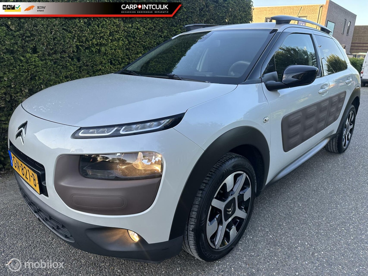 Citroën C4 Cactus - 1.2 PureTech Shine 1.2 PureTech Shine - AutoWereld.nl