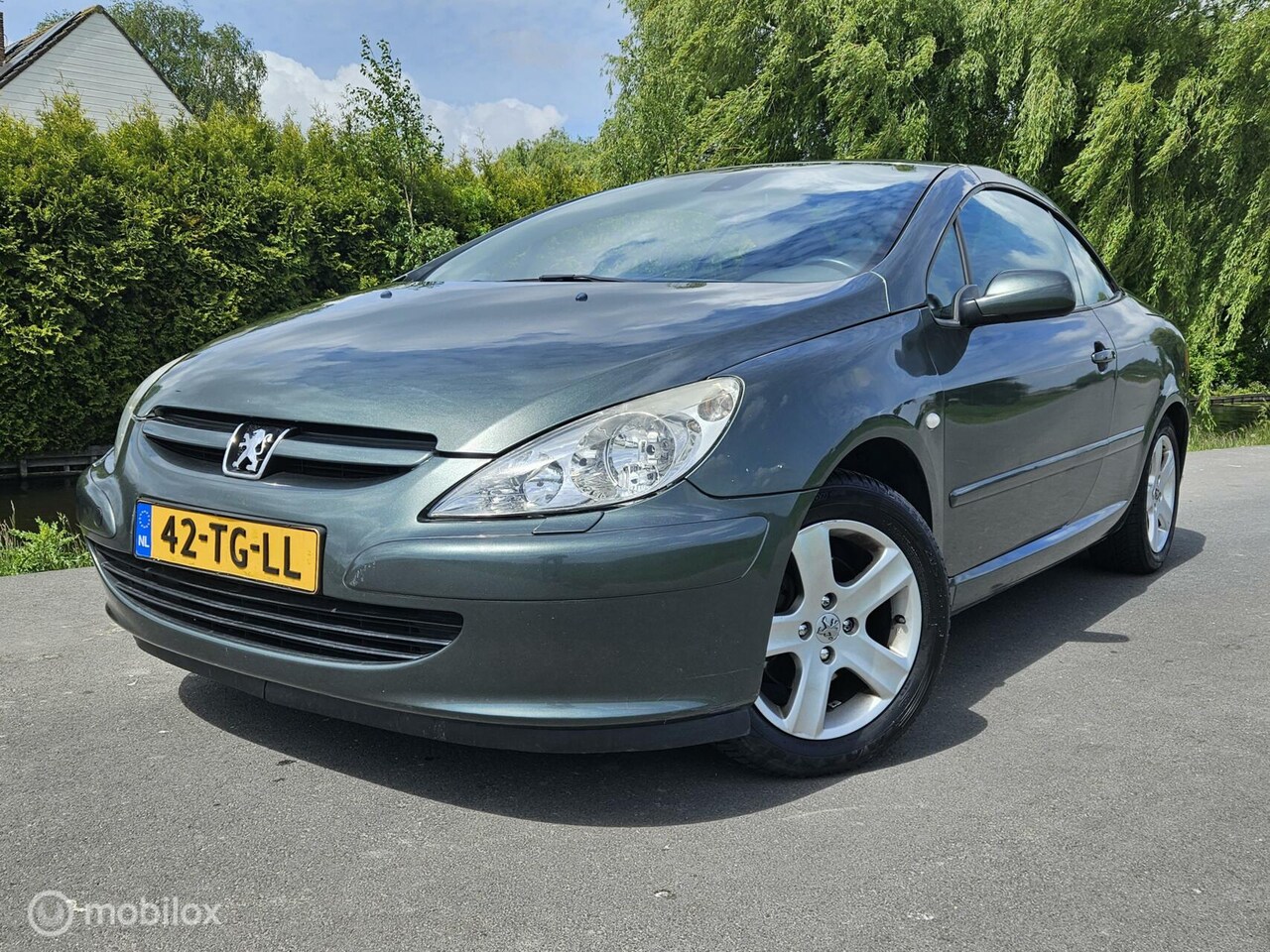 Peugeot 307 CC - 2.0-16V/New Apk/dak werkt top/ - AutoWereld.nl